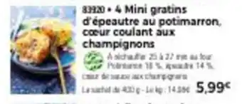 Thiriet 4 mini gratins d'épeautre au potimarron offre