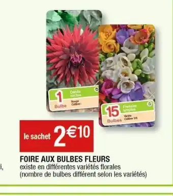 Cora x Carrefour Foire aux bulbes fleurs offre