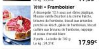 Thiriet Framboisier offre