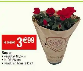 Rosier