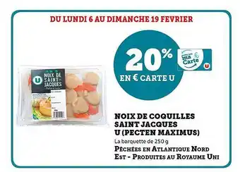 U Express Noix de coquilles saint jacques u (pecten maximus) offre