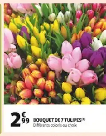 Bouquet de 7 Tulipes