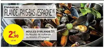 Intermarché Hyper Moules d'irlande offre