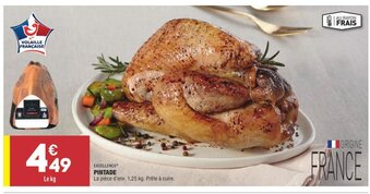 ALDI Pintade offre