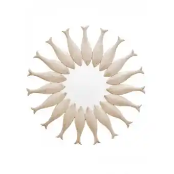 3 suisses Chehoma - miroir mural rond banc de poissons - promo la déco offre