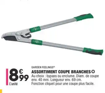 ALDI Assortiment Coupe Branches offre