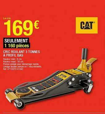 Brico Dépôt Crit Roulant 3 Tonnes à Profil Bas Cat offre