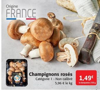 Colruyt Champignons rosés offre