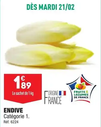 Endive