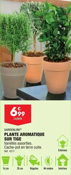 ALDI Plante aromatique sur tige GARDELINE offre