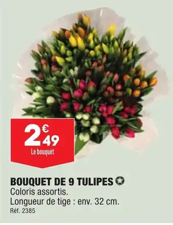 Bouquet de 9 tulipes