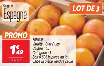 Netto Pomelo offre