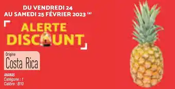 Netto Ananas offre
