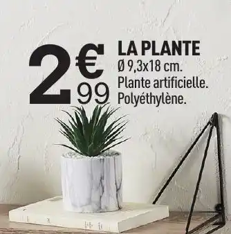 Centrakor La plante offre