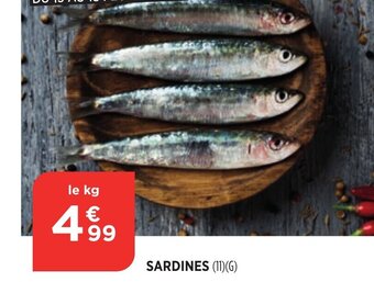 Bi1 Sardines offre