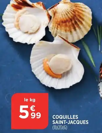 Bi1 Coquilles Saint-Jacques offre
