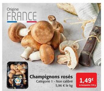 Colruyt Champignons rosés offre