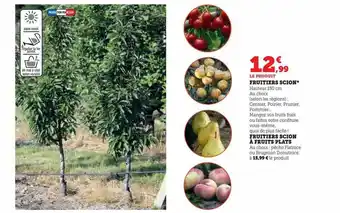 Hyper U Fruitiers scion, fruitiers scion à fruits plats offre