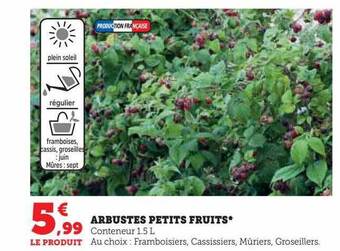 Hyper U Arbustes petits fruits offre