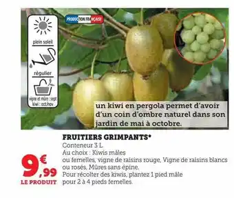 Hyper U Fruitiers grimpants offre