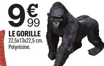 Centrakor Le Gorille offre