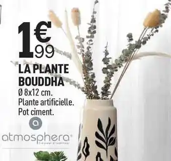 Centrakor La plante bouddha offre