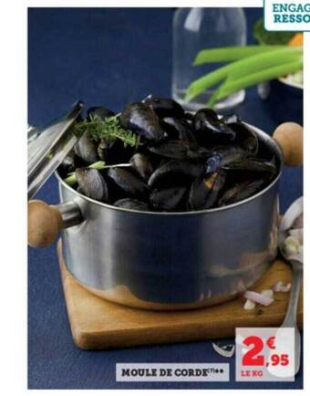 Hyper U Moule de corde offre