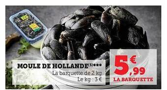Hyper U Moule de hollande offre