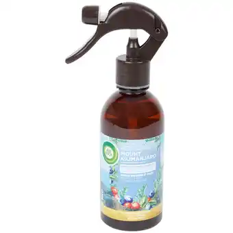 Action Spray d’ambiance air wick mount kilimanjaro offre