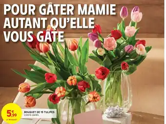 Intermarché Bouquet de 15 Tulipes offre