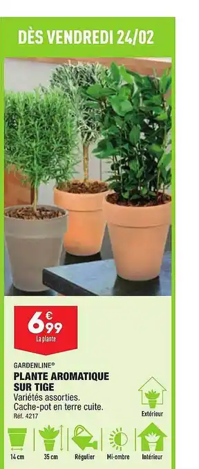 ALDI Plante aromatique sur tige gardenline offre