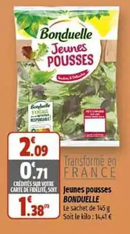 Coccinelle Supermarché Jeunes pousses bonduelle offre