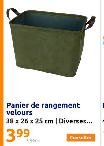 Action Panier de Rangement Velours offre