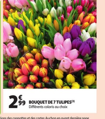 Auchan Bouquet de 7 Tulipes offre