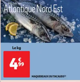 Auchan Maquereaux ou Tacauds offre