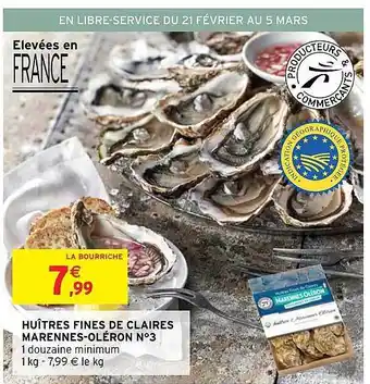 Huîtres fines de claires marennes-oléron n°3
