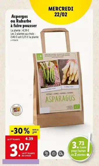 Lidl Asperges ou rubarbe à faire pousser offre