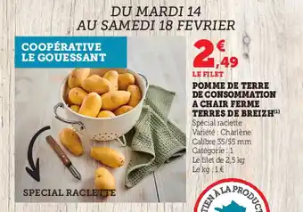 Super U Pomme de terre de consommation a chair ferme terres de breizh offre