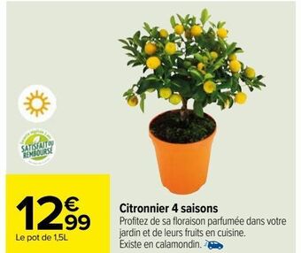 Carrefour Citronnier 4 saisons offre