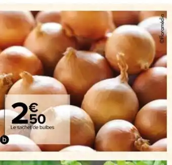 Carrefour Bulbes Potagers offre