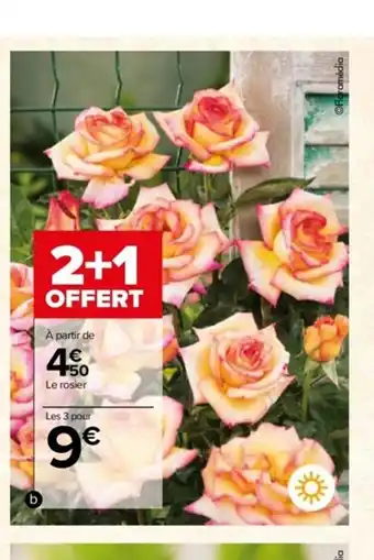 Carrefour Rosier offre