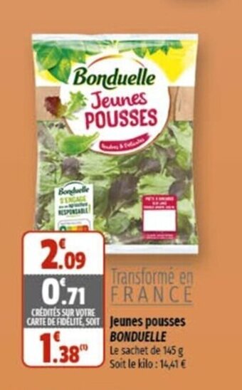 Coccinelle Supermarché Jeunes pousses BONDUELLE offre