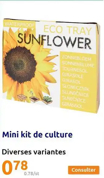 Action Mini kit de culture offre