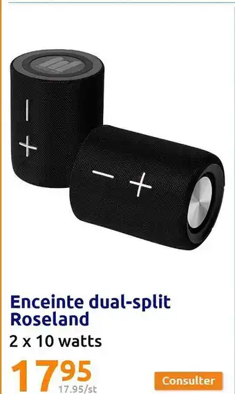 Action Enceinte dual-split roseland offre