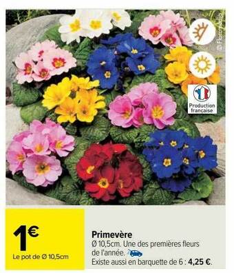 Carrefour Primevère offre
