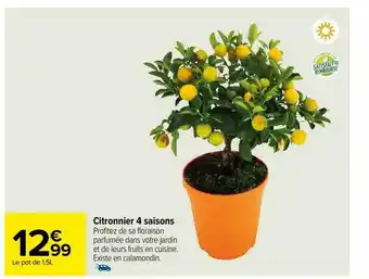 Carrefour Citronnier 4 saisons offre