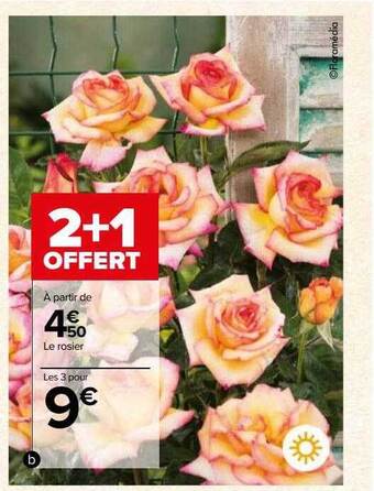 Carrefour Le rosier offre