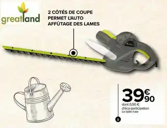 Carrefour Le taille haie greatland offre