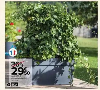 Le muret eda