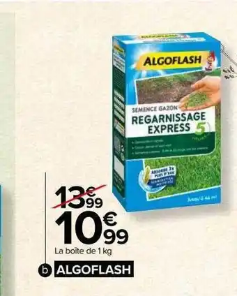 Carrefour Semence gazon regarnissage express algoflash offre